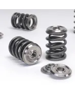 Honda B-Series B16/ B17/ B18 VTEC Skunk2 Alpha Valve Spring & Titanium Retainer Kit Honda B-Series B16/ B17/ B18 VTEC Skunk2 Alpha Valve Spring & Titanium Retainer Kit