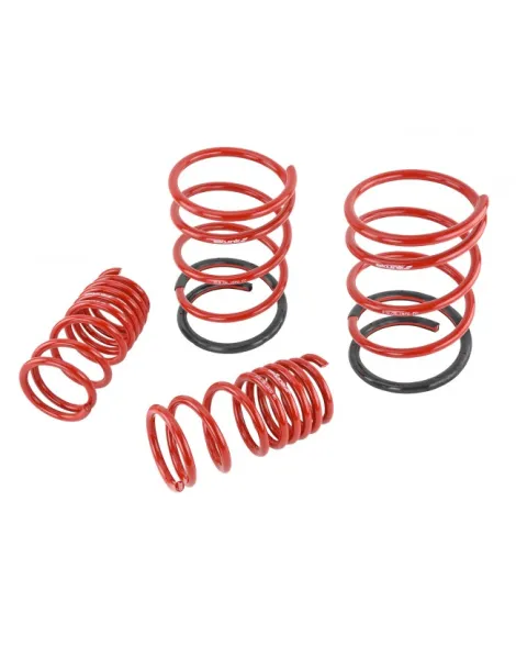 Honda Civic EP (NON TYPE-R) Skunk2 Lowering Springs Honda Civic EP (NON TYPE-R) Skunk2 Lowering Springs