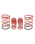 Honda Civic EP (NON TYPE-R) Skunk2 Lowering Springs Honda Civic EP (NON TYPE-R) Skunk2 Lowering Springs