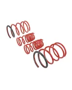 Honda Civic EP (NON TYPE-R) Skunk2 Lowering Springs Honda Civic EP (NON TYPE-R) Skunk2 Lowering Springs