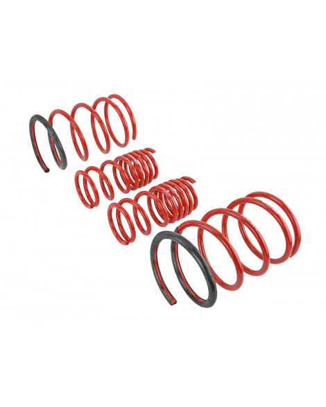Honda Civic EP (NON TYPE-R) Skunk2 Lowering Springs Honda Civic EP (NON TYPE-R) Skunk2 Lowering Springs