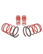 Honda Civic EP (NON TYPE-R) Skunk2 Lowering Springs Honda Civic EP (NON TYPE-R) Skunk2 Lowering Springs