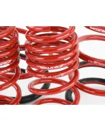 Honda Civic EP (NON TYPE-R) Skunk2 Lowering Springs Honda Civic EP (NON TYPE-R) Skunk2 Lowering Springs