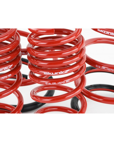 Honda Civic EP (NON TYPE-R) Skunk2 Lowering Springs Honda Civic EP (NON TYPE-R) Skunk2 Lowering Springs