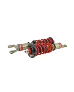 Honda Civic 92-95 / Integra 94-01 Skunk2 Pro-S II Coilovers Honda Civic 92-95 / Integra 94-01 Skunk2 Pro-S II Coilovers