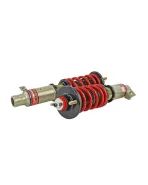 Honda Civic 92-95 / Integra 94-01 Skunk2 Pro-S II Coilovers Honda Civic 92-95 / Integra 94-01 Skunk2 Pro-S II Coilovers