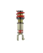 Honda Civic 92-95 / Integra 94-01 Skunk2 Pro-S II Coilovers Honda Civic 92-95 / Integra 94-01 Skunk2 Pro-S II Coilovers