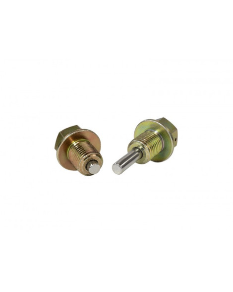 Skunk2 Magnetic Drain Plug Set (M14 x 1.5) Skunk2 Magnetic Drain Plug Set (M14 x 1.5)