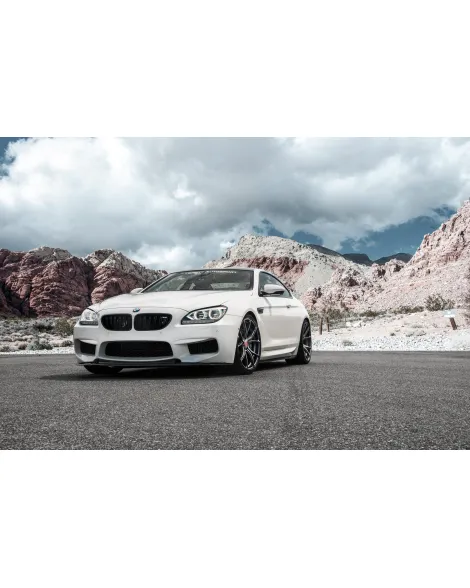 BMW F12/F13 M6 Vorsteiner VRS Aero Carbon Fiber Side Blades