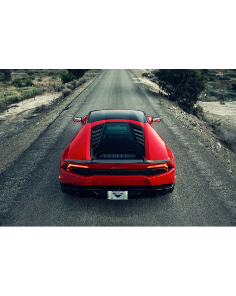 Lamborghini Huracan Vorsteiner Verona Edizione Aero Carbon Fiber Wing Blade w/Aluminum Uprights Lamborghini Huracan Vorsteiner Verona Edizione Aero Carbon Fiber Wing Blade w/Aluminum Uprights