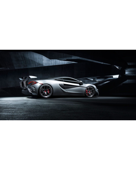McLaren 570S/540C Vorsteiner 570-VX Aero Carbon Fiber Wing Blade w/Carbon Fiber Uprights McLaren 570S/540C Vorsteiner 570-VX Aero Carbon Fiber Wing Blade w/Carbon Fiber Uprights