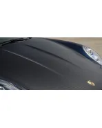 Porsche 991 GT3-RS Vorsteiner V-RS Aero Carbon Fiber Hood Porsche 991 GT3-RS Vorsteiner V-RS Aero Carbon Fiber Hood