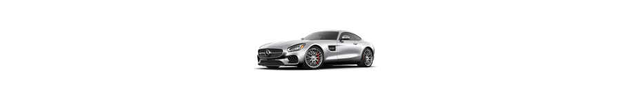 AMG GT