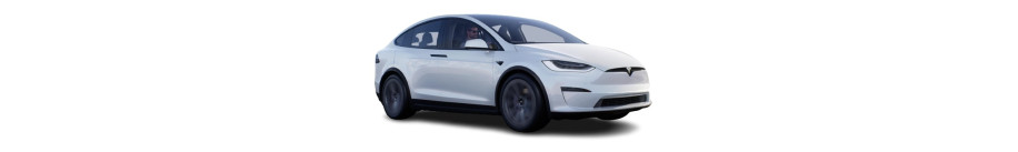 Model X Model X