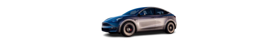 Model Y Model Y