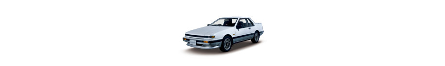 S12 S12
