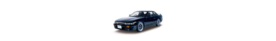 S13 S13