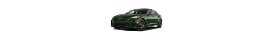 Stinger Stinger