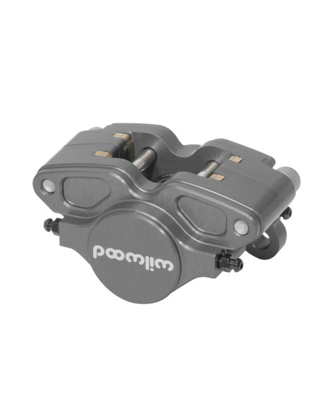 Wilwood GP200 Billet 2 Piston Caliper 0.25 120-16888