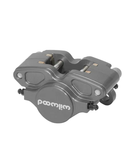 Wilwood GP200 Billet 2 Piston Caliper 0.25 120-16888 Wilwood GP200 Billet 2 Piston Caliper 0.25 120-16888